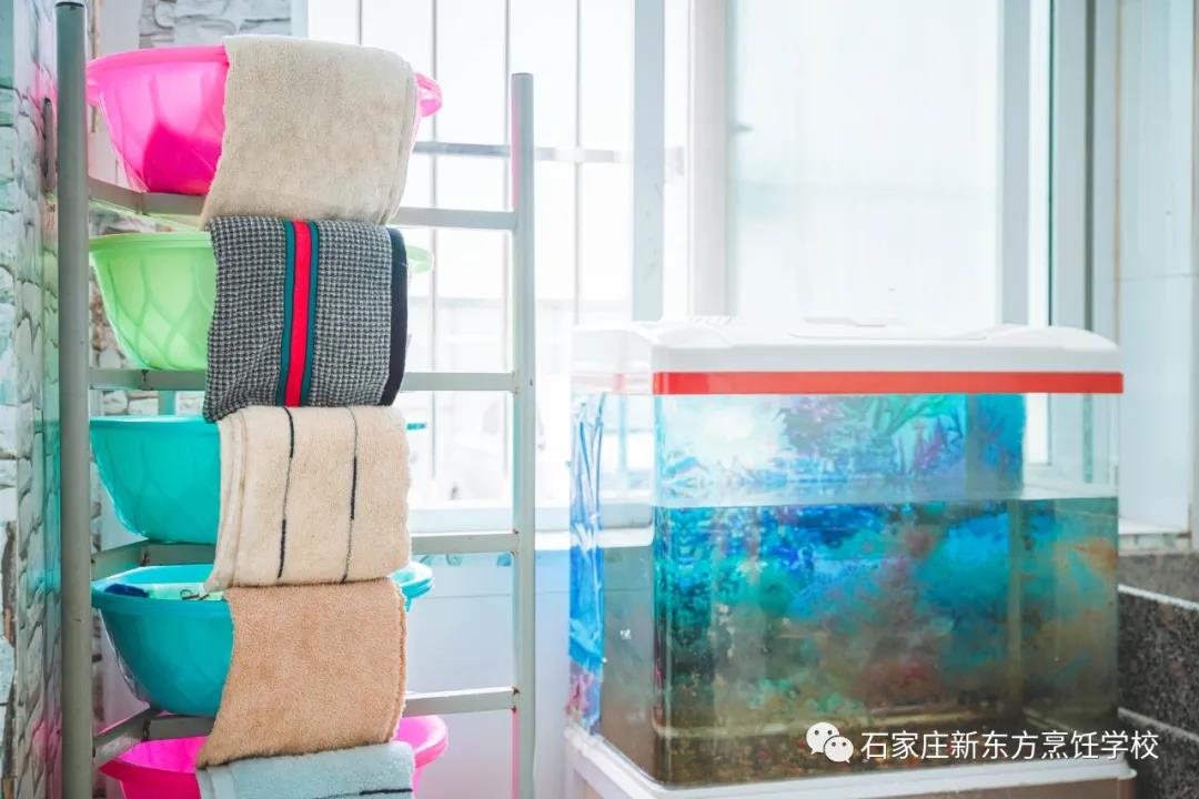 一見(jiàn)傾心丨get宿舍相處之道，幸福值拉滿~