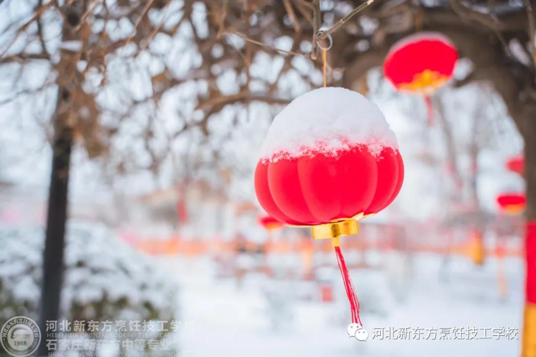 | | 如果，能在這里和你同游看場雪