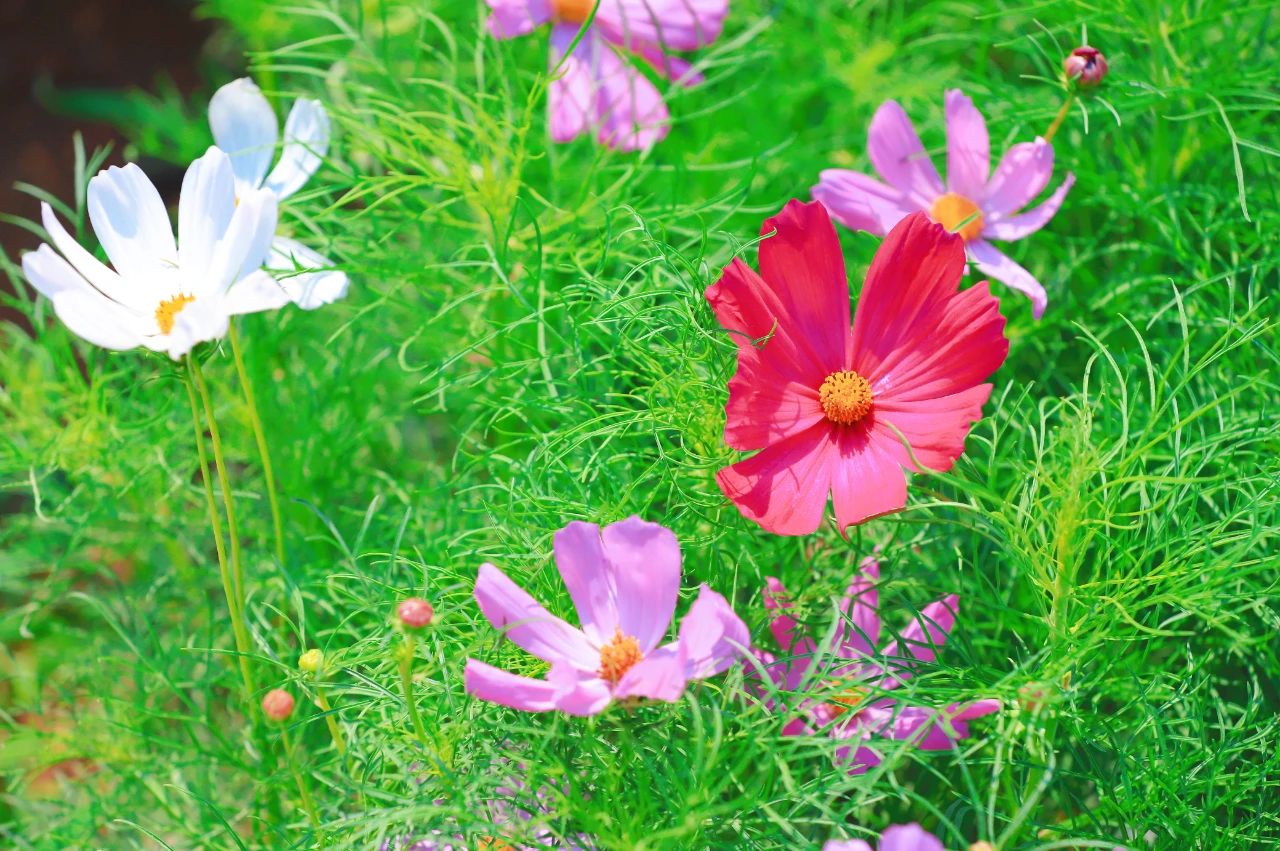 5ee7f5bf12097b7040d8568faf9dfc3b.jpg 5ee7f5bf12097b7040d8568faf9dfc3b.jpg