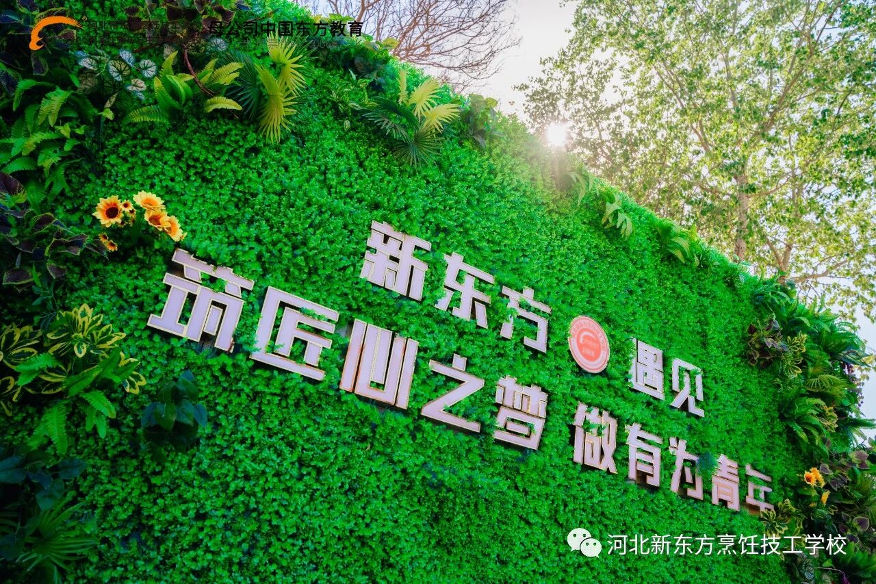 今日立春，萬(wàn)物復(fù)蘇丨河北新東方2026春季招生現(xiàn)已啟動(dòng)，趁春光，播種你的未來(lái)